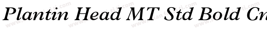 Plantin Head MT Std Bold Cn字体转换